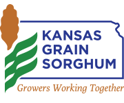 Kansas Grain